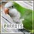 parrot fanlisting