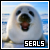 fanlisting for seals